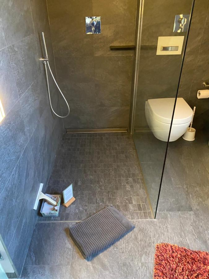 Apartment Mit Dachloggia Saarlouis Eksteriør bilde