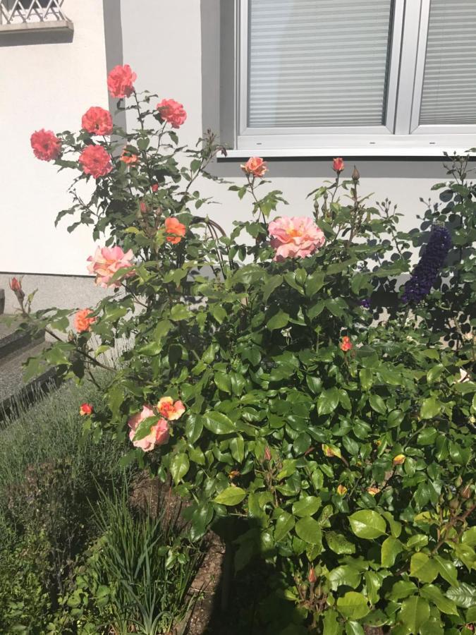Apartment Mit Dachloggia Saarlouis Eksteriør bilde